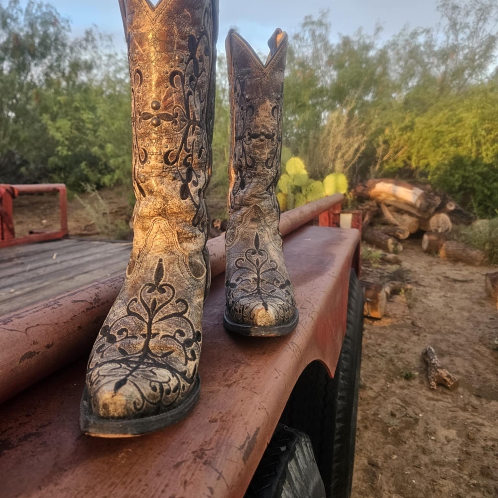 Corral Brown and Black Heeled Boots